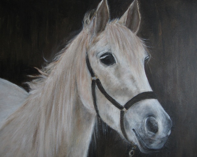 paard (acryl 50 op 60cm ) verkocht