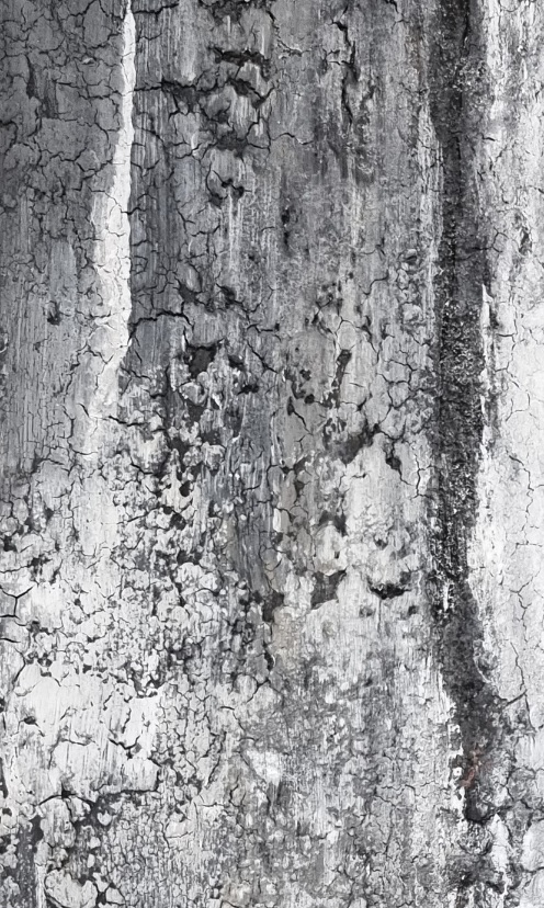 mixed media (125 op 60 cm)